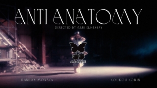 Thumbnail of post image 008